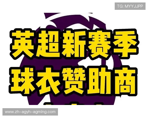 2019年英超各球队球衣赞助商与金额列表
