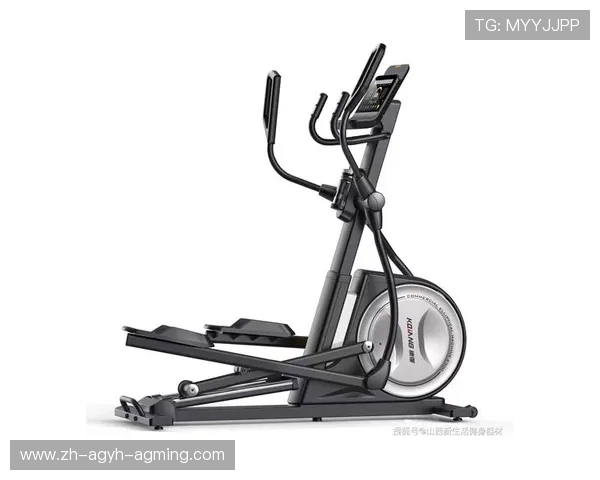 腰部健身器材推荐：专为腰部塑形设计的器材