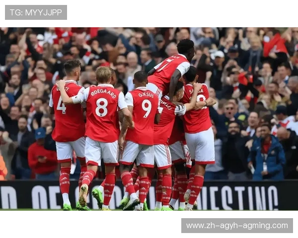 英超比赛及各俱乐部赛事报道集合