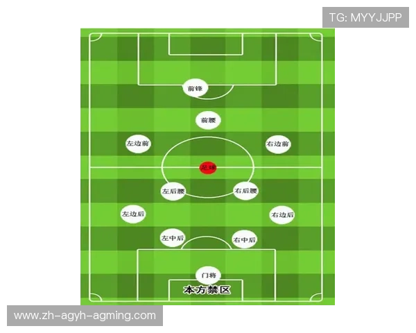 意甲赛事中参与比赛的全部球队名单与分布分析
